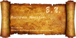 Balthes Nesztor névjegykártya