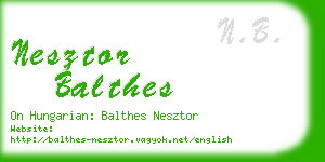 nesztor balthes business card